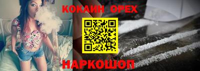СК Бердск