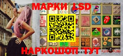 СК Бердск
