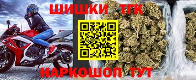 СК Бердск
