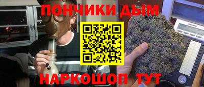 СК Бердск