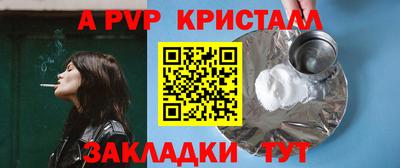 СК Бердск
