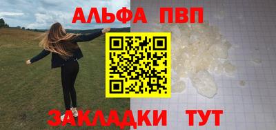 СК Бердск