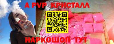 СК Бердск